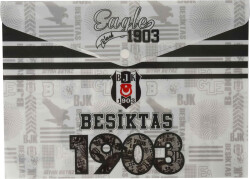 Beşiktaş Çıtçıtlı Dosya Adet - 2