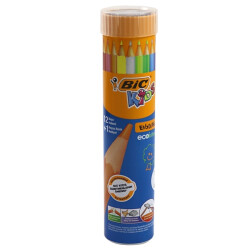 Bic Kuru Boya Evolution Metal Tüp 12+1 958191 - Bic