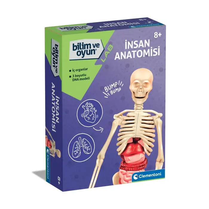 Clementoni İlk Keşiflerim İnsan Anatomisi - 1