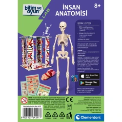 Clementoni İlk Keşiflerim İnsan Anatomisi - 3