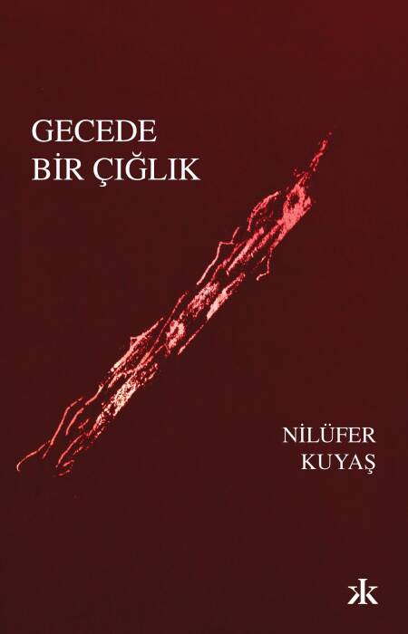 Gecede Bir Çığlık Kafka Kitap - 1