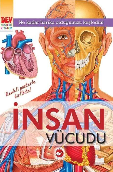 İnsan Vücudu Beyaz Balina Yayınları - 1