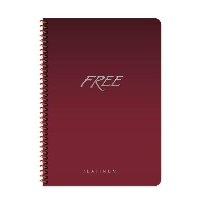 Keskin Color A4 60 Yaprak Kareli Plastik Kapak Free Platinum Defter - 2