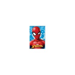 Keskin Color Bloknot Standart İkili Spider Man 140200-06 - Keskin Color