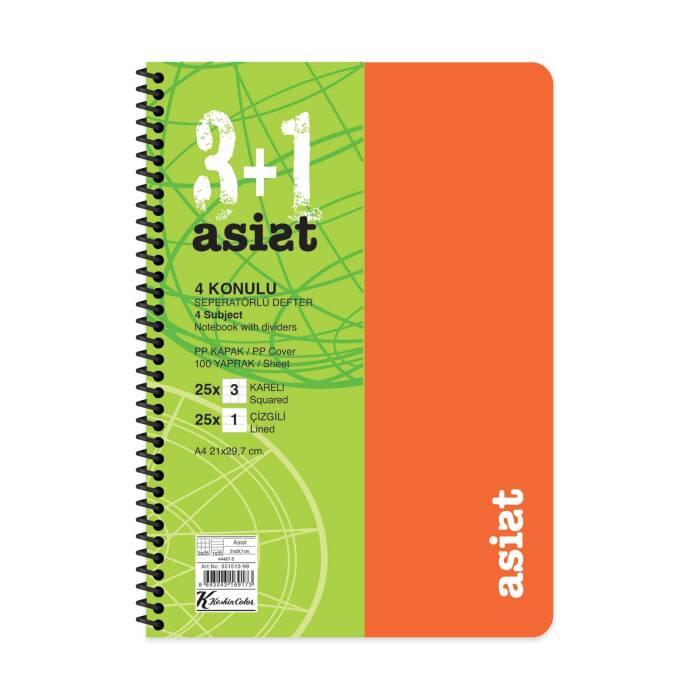 Keskin Color Defter A4 3+1 100 Yaprak Ayraçlı Plastik Kapak Asist - 4