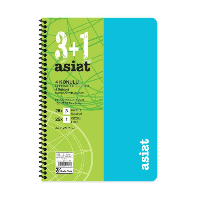 Keskin Color Defter A4 3+1 100 Yaprak Ayraçlı Plastik Kapak Asist - 5