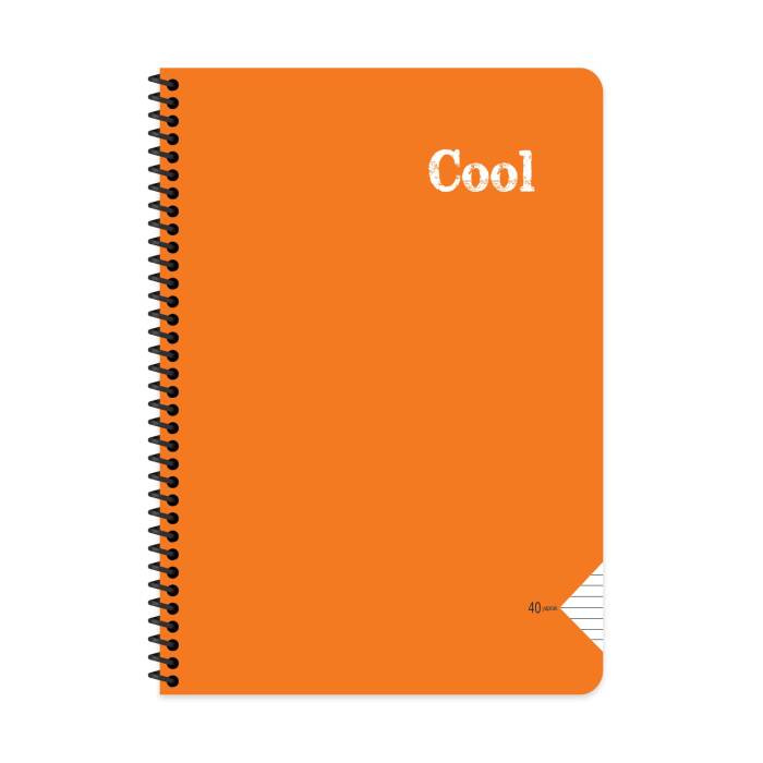 Keskin Color Defter A4 40 Yaprak Çizgili Plastik Kapak Spiralli Cool Defter - 2