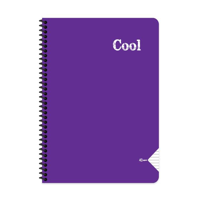 Keskin Color Defter A4 40 Yaprak Çizgili Plastik Kapak Spiralli Cool Defter - 4