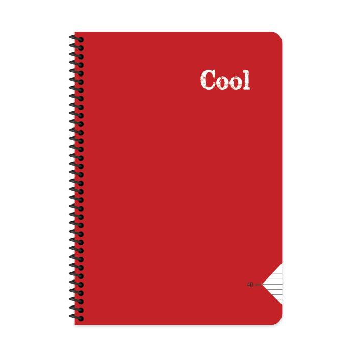 Keskin Color Defter A4 40 Yaprak Çizgili Plastik Kapak Spiralli Cool Defter - 7