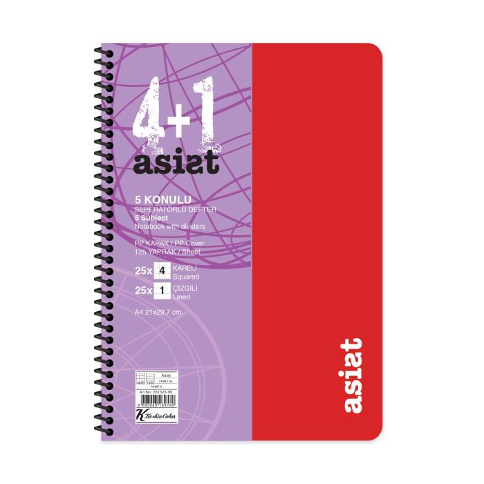 Keskin Color Defter A4 4+1 125 Yaprak Ayraçlı Plastik Kapak Asist - 3