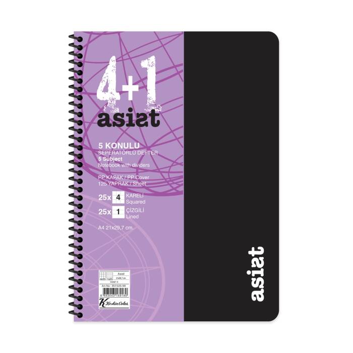 Keskin Color Defter A4 4+1 125 Yaprak Ayraçlı Plastik Kapak Asist - 4