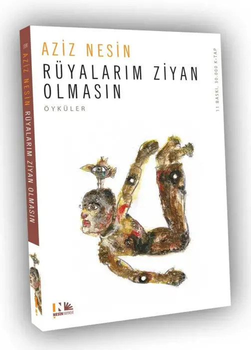 Rüyalarım Ziyan Olmasın Nesin Yayınları - 1