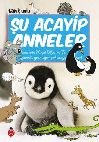 Şu Acayip Anneler Uğurböceği Yayınları - 1