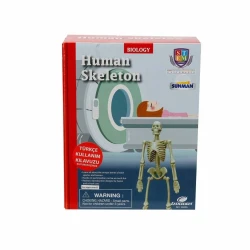 Sunman Oyuncak Bilim Seti : İnsan İskeleti - 2