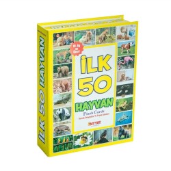 Taba Diytoy Flash Cards Yaşam Alanında İlk 50 Hayvan - Diytoy