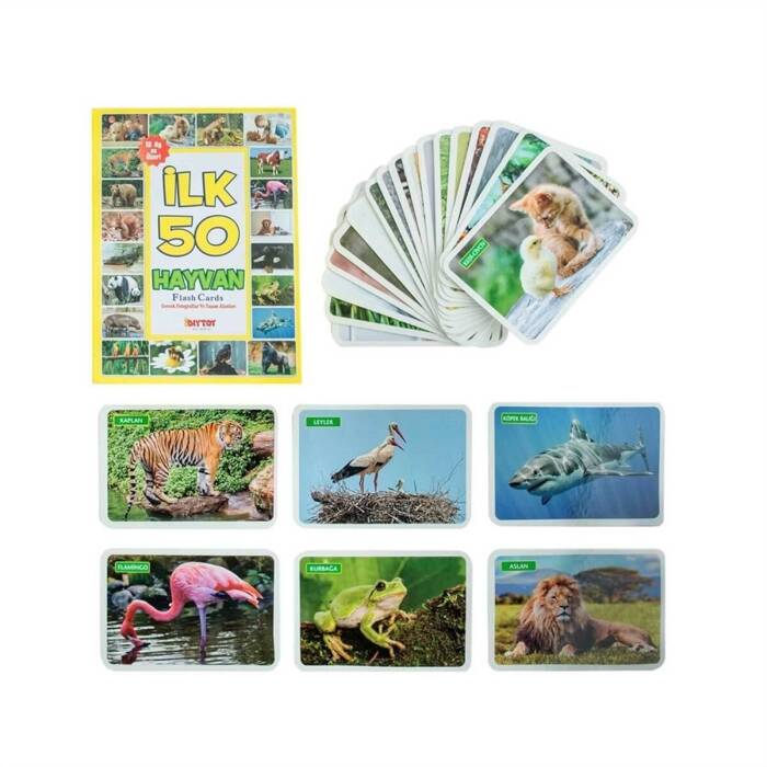 Taba Diytoy Flash Cards Yaşam Alanında İlk 50 Hayvan - 3